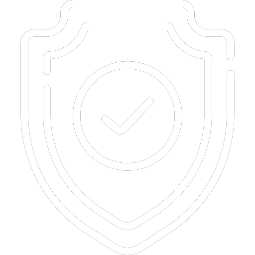 Secure website icon